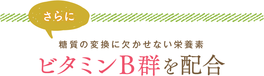 糖質の変換に欠かせない栄養素、ビタミンB群を配合